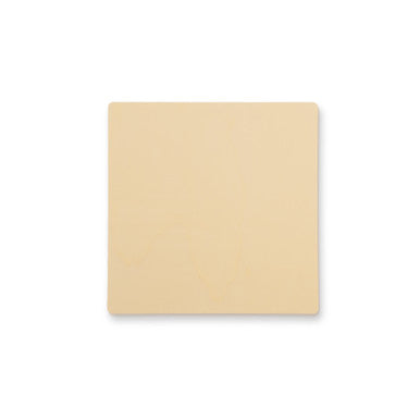 6" Birch Plywood Square